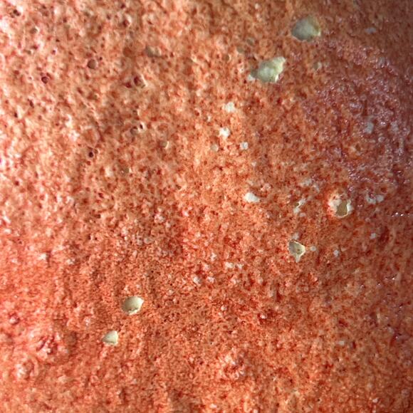 Vintage Holland Mold Company Quirky Tangerine Texture Duck Statue Figurine HOMCO - Picture 8 of 10